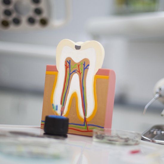 wooden tooth and colorful roots
