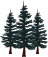 three trees